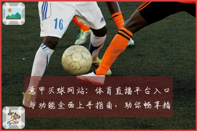 意甲买球网站：体育直播平台入口与功能全面上手指南，助你畅享精彩赛事体验