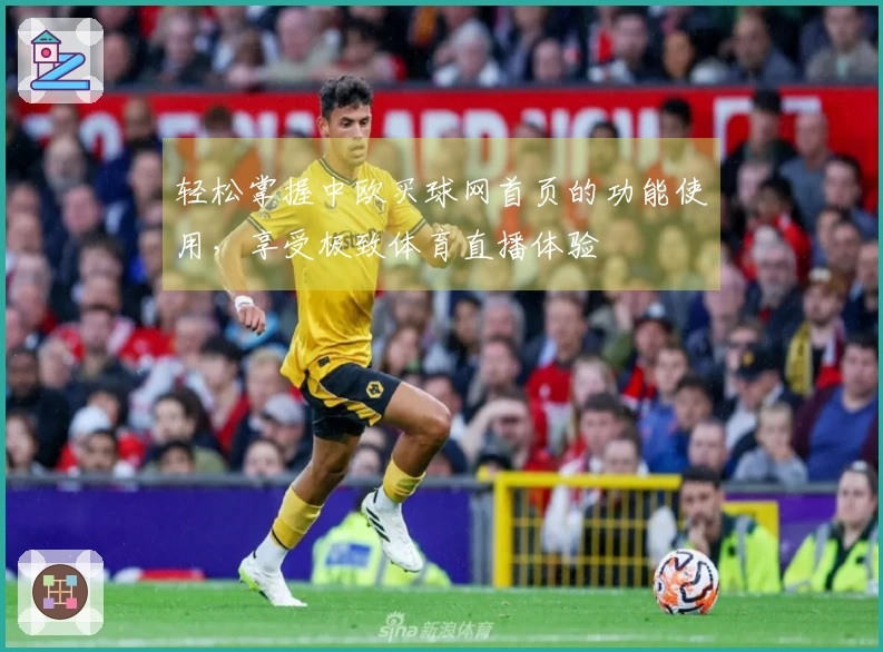 轻松掌握中欧买球网首页的功能使用，享受极致体育直播体验