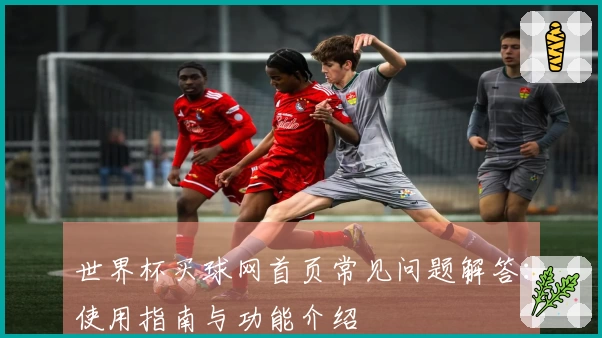 世界杯买球网首页常见问题解答：使用指南与功能介绍