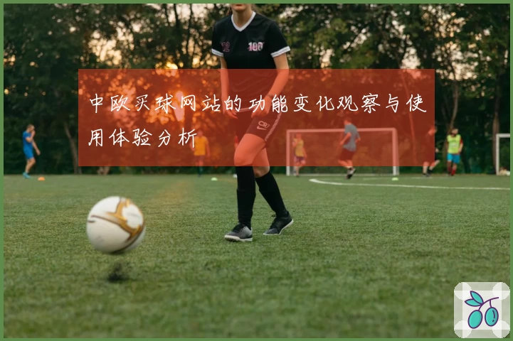 中欧买球网站的功能变化观察与使用体验分析